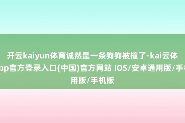 开云kaiyun体育诚然是一条狗狗被撞了-kai云体育app官方登录入口(中国)官方网站 IOS/安卓通用版/手机版