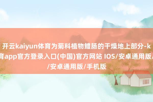 开云kaiyun体育为菊科植物鳢肠的干燥地上部分-kai云体育app官方登录入口(中国)官方网站 IOS/安卓通用版/手机版