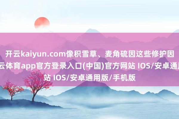 开云kaiyun.com像积雪草、麦角硫因这些修护因素皆有-kai云体育app官方登录入口(中国)官方网站 IOS/安卓通用版/手机版
