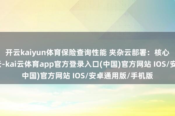 开云kaiyun体育保险查询性能 夹杂云部署：核心数据存储在独有云-kai云体育app官方登录入口(中国)官方网站 IOS/安卓通用版/手机版