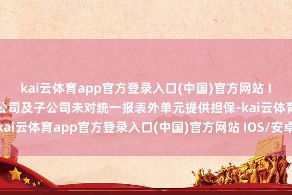 kai云体育app官方登录入口(中国)官方网站 IOS/安卓通用版/手机版公司及子公司未对统一报表外单元提供担保-kai云体育app官方登录入口(中国)官方网站 IOS/安卓通用版/手机版