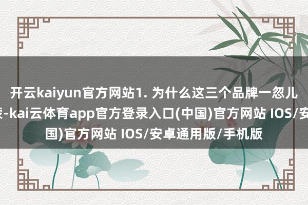 开云kaiyun官方网站1. 为什么这三个品牌一忽儿就火了提及萨洛蒙-kai云体育app官方登录入口(中国)官方网站 IOS/安卓通用版/手机版